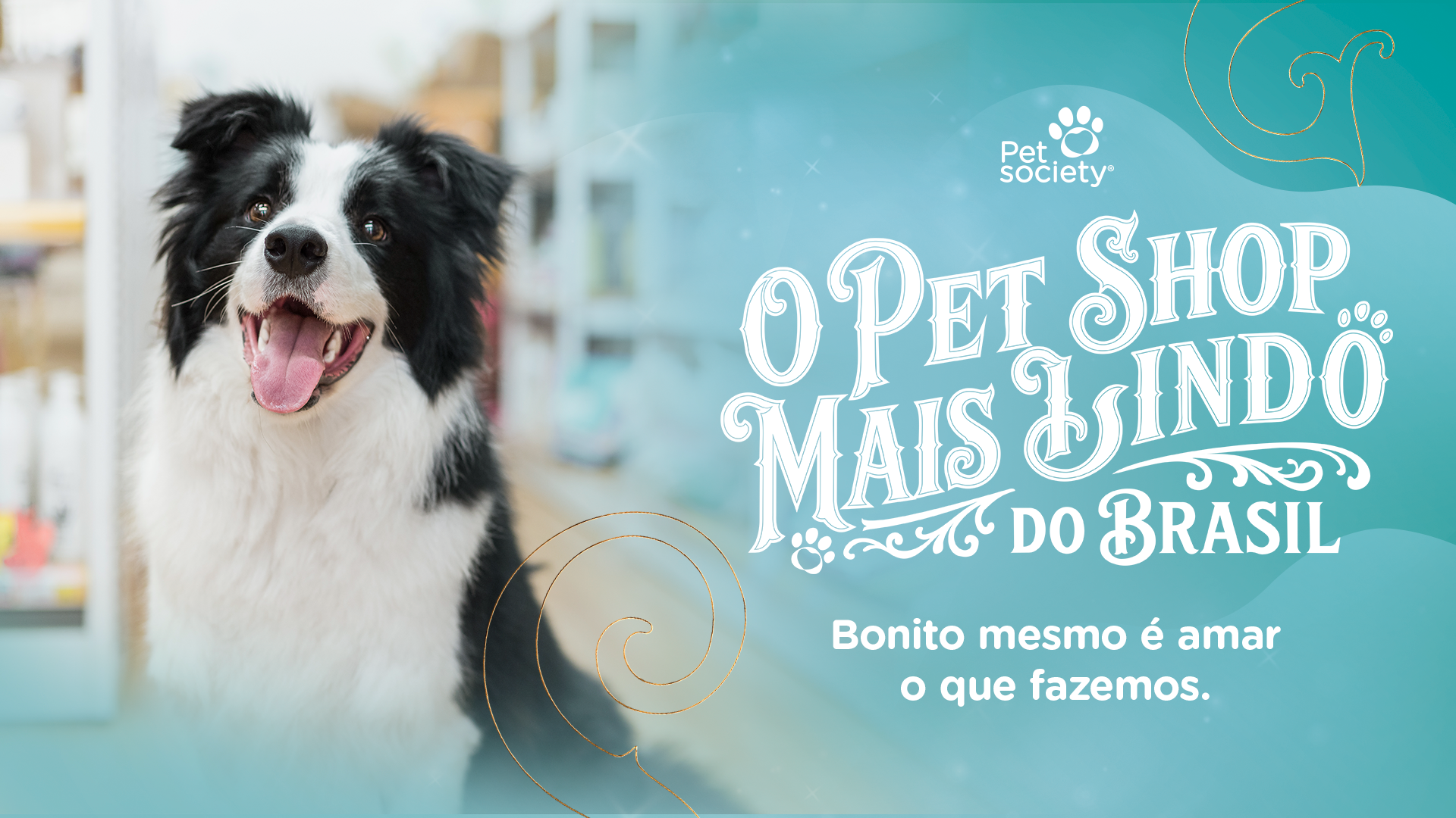 O Pet Shop Mais Lindo do Brasil – Bonito mesmo é amar o que fazemos. Uma iniciativa Pet Society.